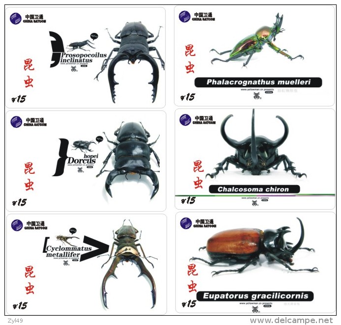 A02408 China Phone Cards Insect 143pcs - Other & Unclassified