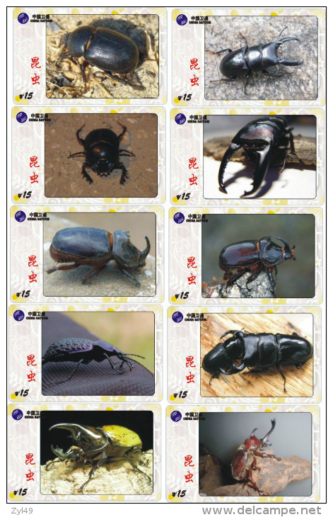 A02408 China Phone Cards Insect 143pcs - Andere & Zonder Classificatie
