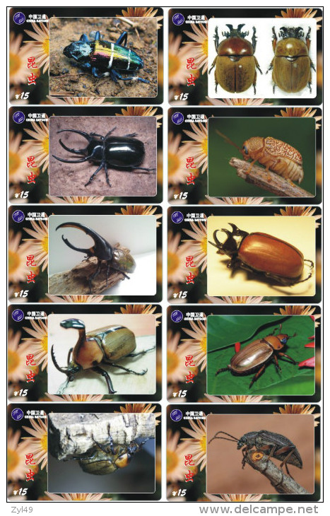 A02408 China phone cards Insect 143pcs