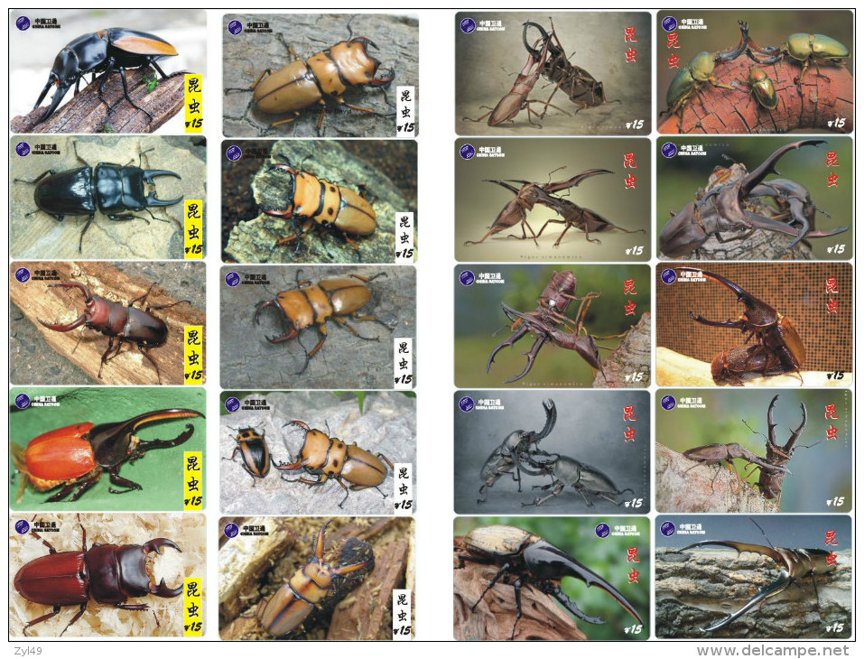 A02408 China phone cards Insect 143pcs
