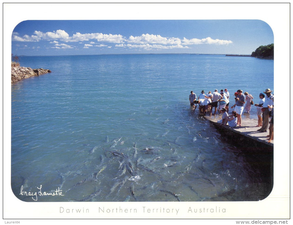 (508) Australia - NT - Darwin Feeding Fish - Darwin