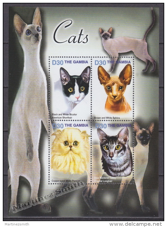 Gambia 2004 Yvert 4184-87, Fauna, Cats - Sheetlet - MNH - Gambie (1965-...)