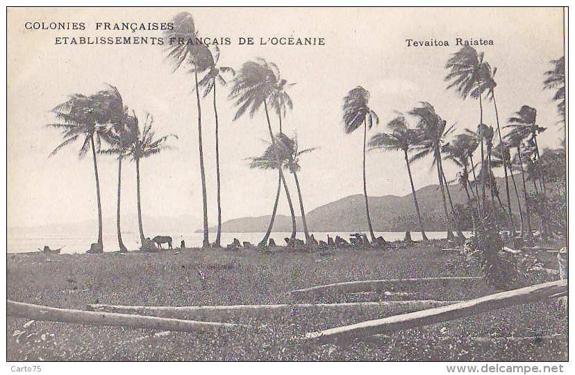 France - Polynésie - Colonies Françaises - Océanie - Tevaitoa Raiatea - Polynésie Française