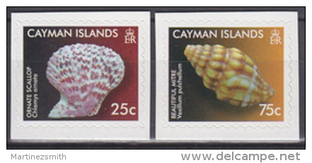 Cayman Islands 2010 Yvert 1145-46, Fauna, Sea Shells - Adhesive - MNH - Kaimaninseln