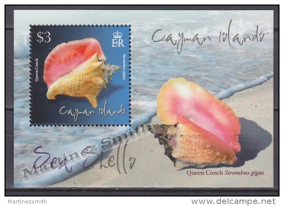 Cayman Islands 2010 Miniature Sheet Yvert BF 52, Fauna, Sea Shells - MNH - Iles Caïmans