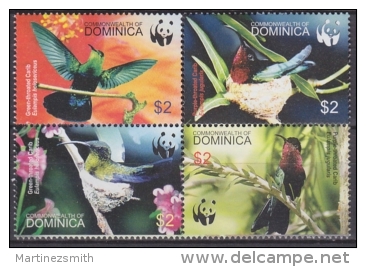 Dominica 2005 Yvert 3129-32, WWF Protection Of Nature, Birds, MNH - Dominica (1978-...)