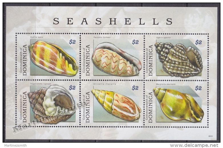 Dominica 2009 Yvert BF 535, Fauna Sea Shells - Miniature Sheet - MNH - Dominica (1978-...)