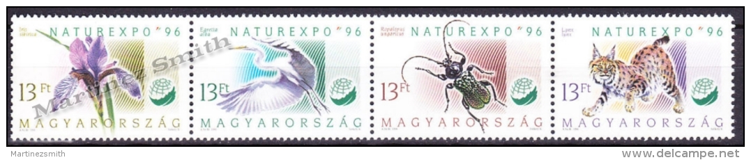 Hongrie - Hungary 1996 Yvert 3564-67, Narurexpo &acute;96, Fauna &amp; Flora - MNH - Nuovi