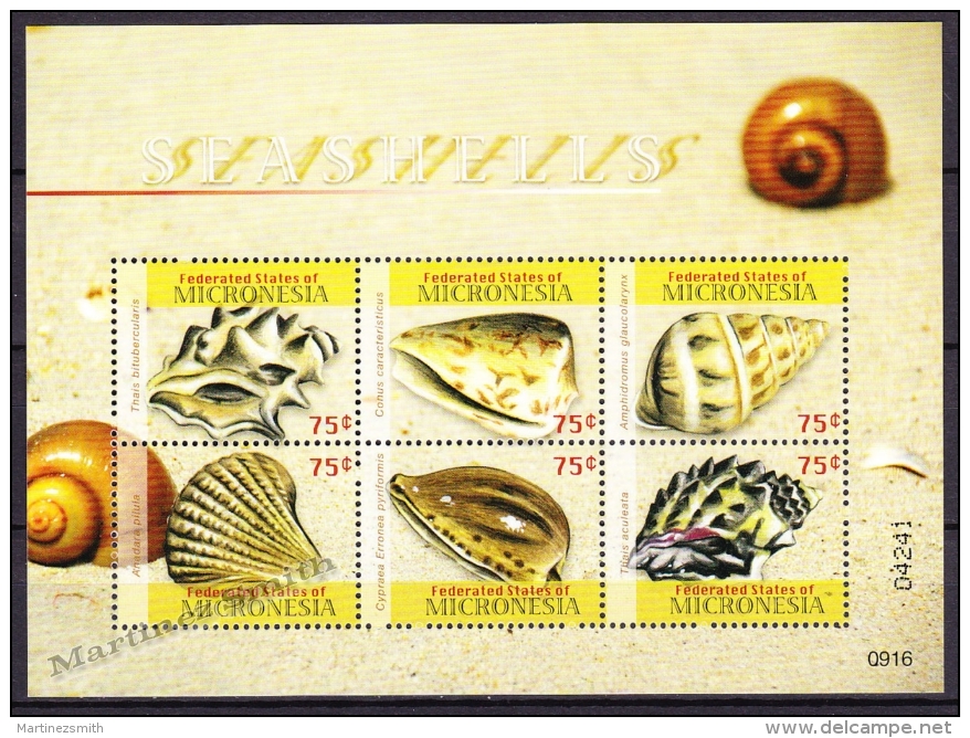 Micronesia 2009 Yvert 1694-99, Fauna, Sea Shells - MNH - Micronesië