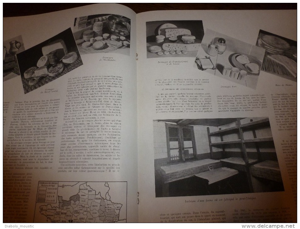 1942  Patriotisme Japonais; Fromages De France; Sur L'IRRAOUADDI ; Dans Le DONETZ ; Hybrides Lion-Tigre Et Oie-Cygne - L'Illustration