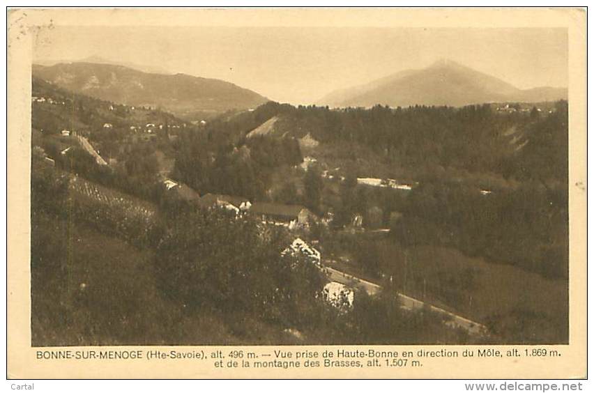 74 - BONNE-SUR-MENOGE - Vue Prise De Haute-Bonne En Direction Du Môle - Bonne