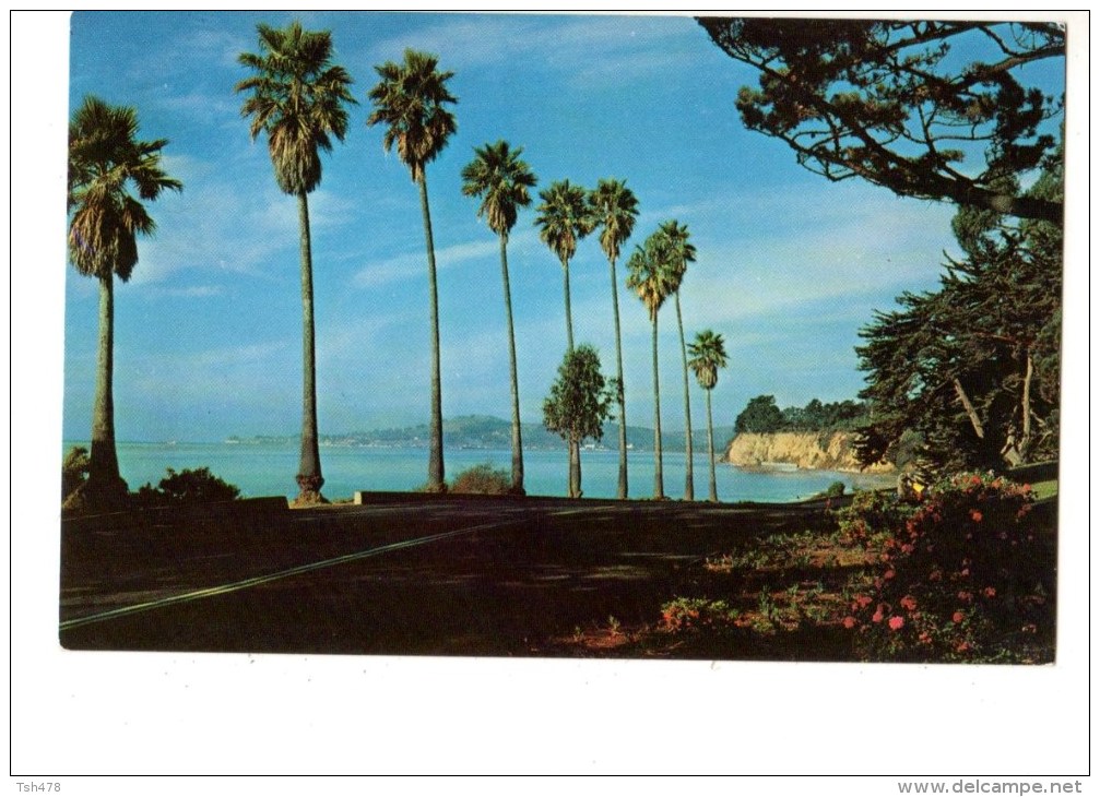 ETATS-UNIS----SANTA BARBARA---tree-lined Avenue Near Wotld-famous...........---voir 2 Scans - Santa Barbara