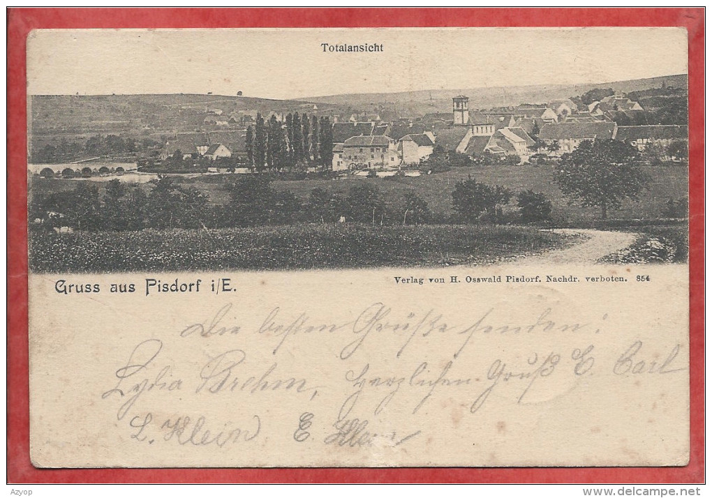 67 - GRUSS Aus PISDORF - BISCHTROFF Sur SARRE - Totalansicht - Autres & Non Classés