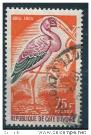 Cote D'Ivoire Y&T N° 242 : Ibis - Cigognes & échassiers