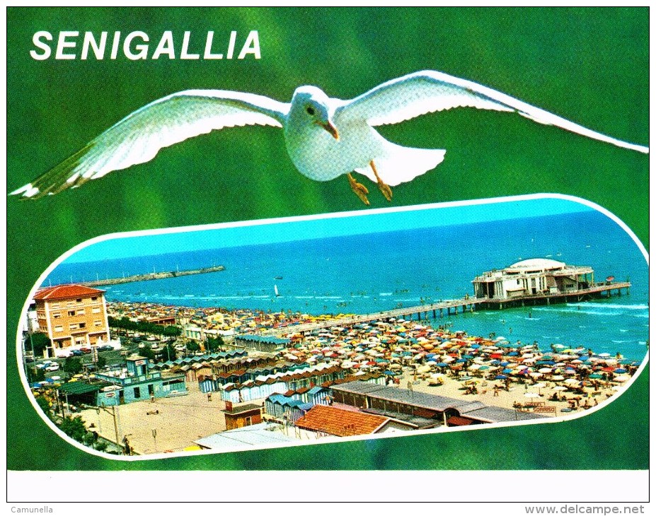 Riviera Adriatica-senigallia - Senigallia