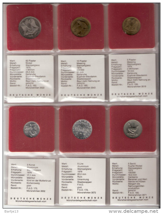 FAO 6 COINS SYRIE, SAN MARINO, TONGA, TURKIJE UNC - Autres & Non Classés