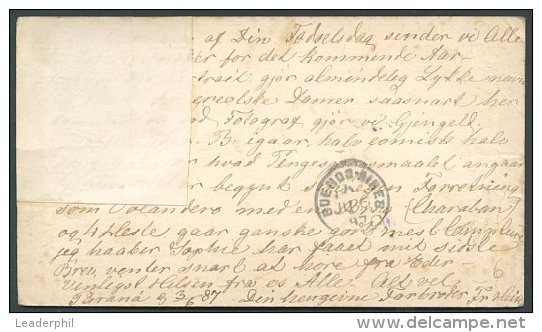 ARGENTINA TO DENMARK Postal Stationery 1887 Parana Cancellation VF - Postal Stationery