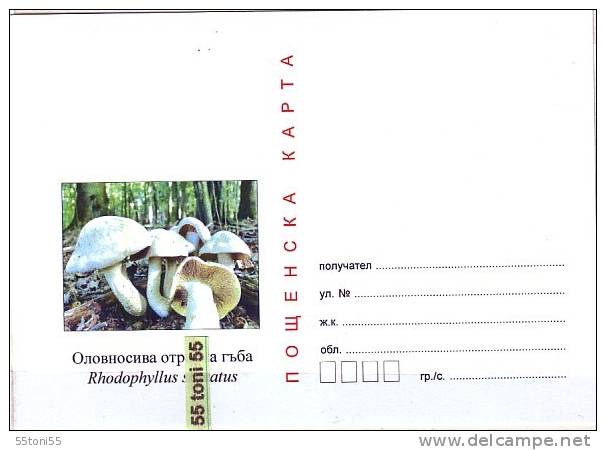 Bulgaria / Bulgarie 2011  Poisonous Mushrooms   Postal Card - Ansichtskarten