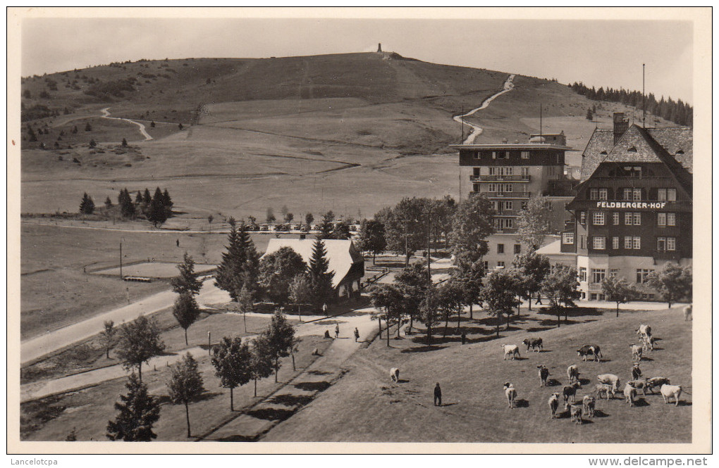 FELDBERG I SCHWARZWALD / HOTEL FELDBERGERHOF - Feldberg