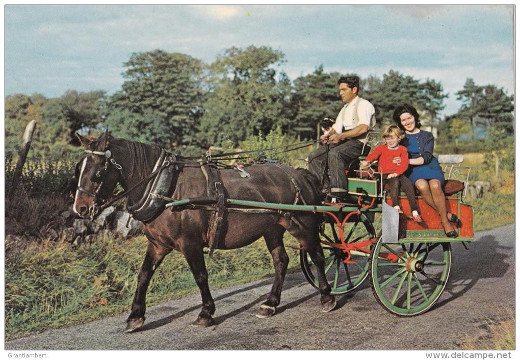 Jaunting Car, Ireland -  NPO DEXTER Unused - Other & Unclassified