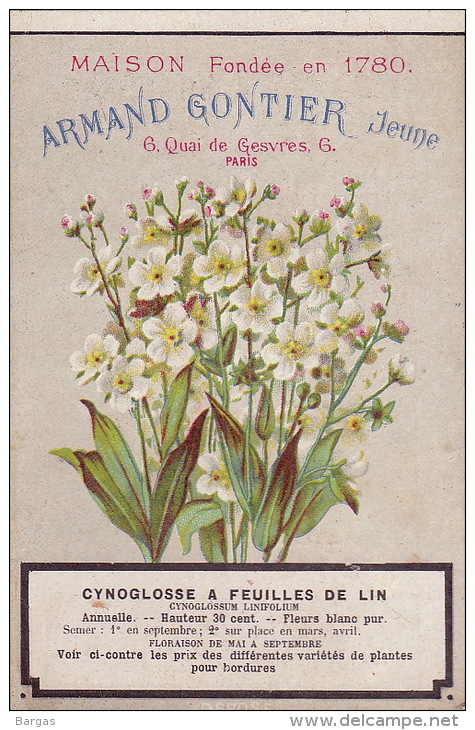 Chromo Armand Gontier Graine Jardin D´essai Fleur Plante à Fontenay Aux Roses Cynoglosse Lin - Autres & Non Classés