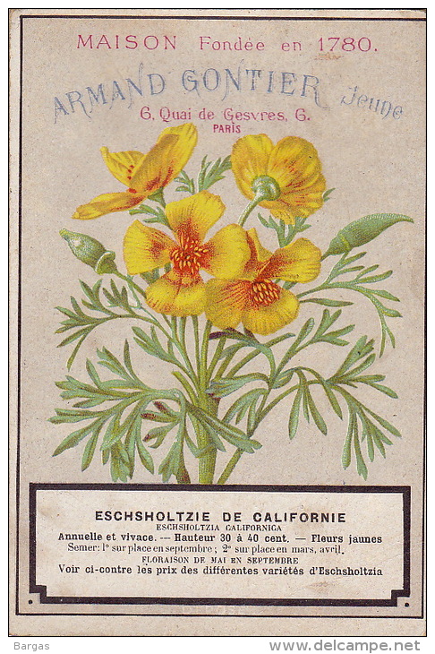 Chromo Armand Gontier Graine Jardin D´essai Fleur Plante à Fontenay Aux Roses Eschsholtzie De Californie - Other & Unclassified