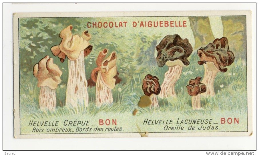 Chromo Didactique  Chocolat D´AIGUEBELLE. Série Champignons. HELVELLES - Aiguebelle