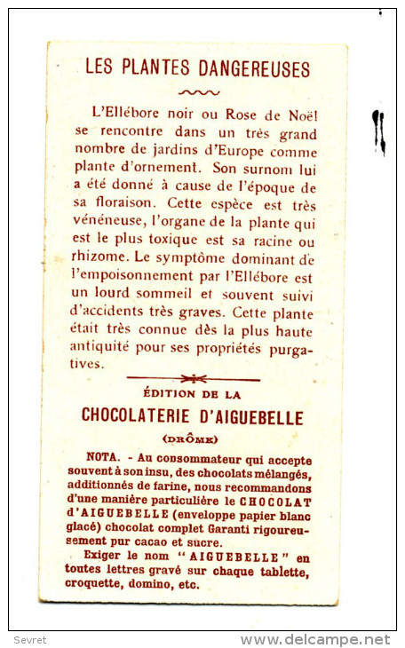 Chromo Didactique  Chocolat D´AIGUEBELLE. Série LES PLANTES DANGEREUSES. - L'ELLEBORE NOIR - Aiguebelle