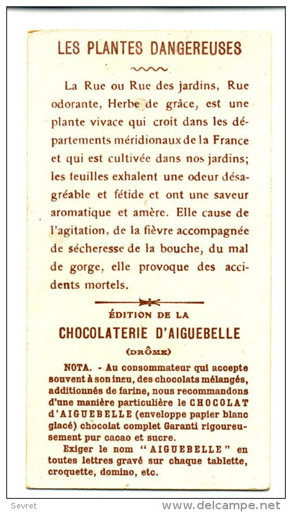 Chromo Didactique  Chocolat D´AIGUEBELLE. Série LES PLANTES DANGEREUSES. - LA RUE - Aiguebelle