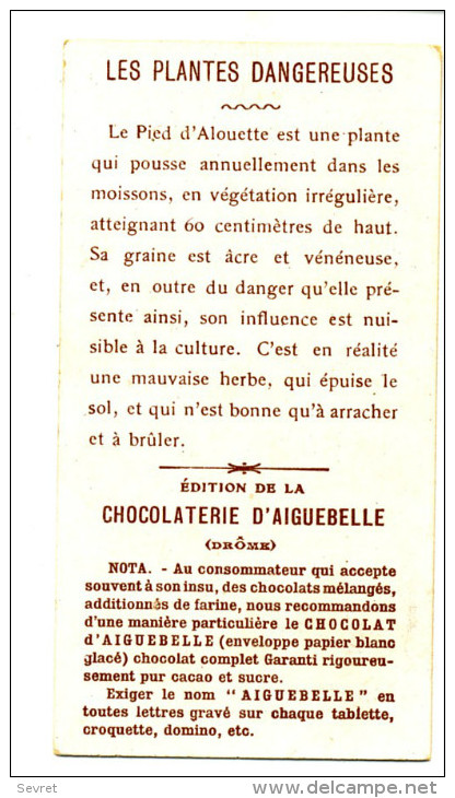 Chromo Didactique  Chocolat D´AIGUEBELLE. Série LES PLANTES DANGEREUSES. - LE PIED D'ALOUETTE - Aiguebelle