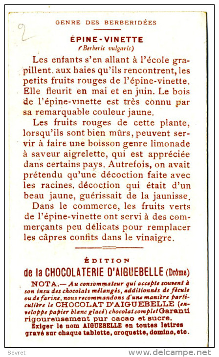Chromo Didactique  Chocolat D´AIGUEBELLE. Série LES PLANTES MEDICINALES. - EPINE-VINETTE - Aiguebelle
