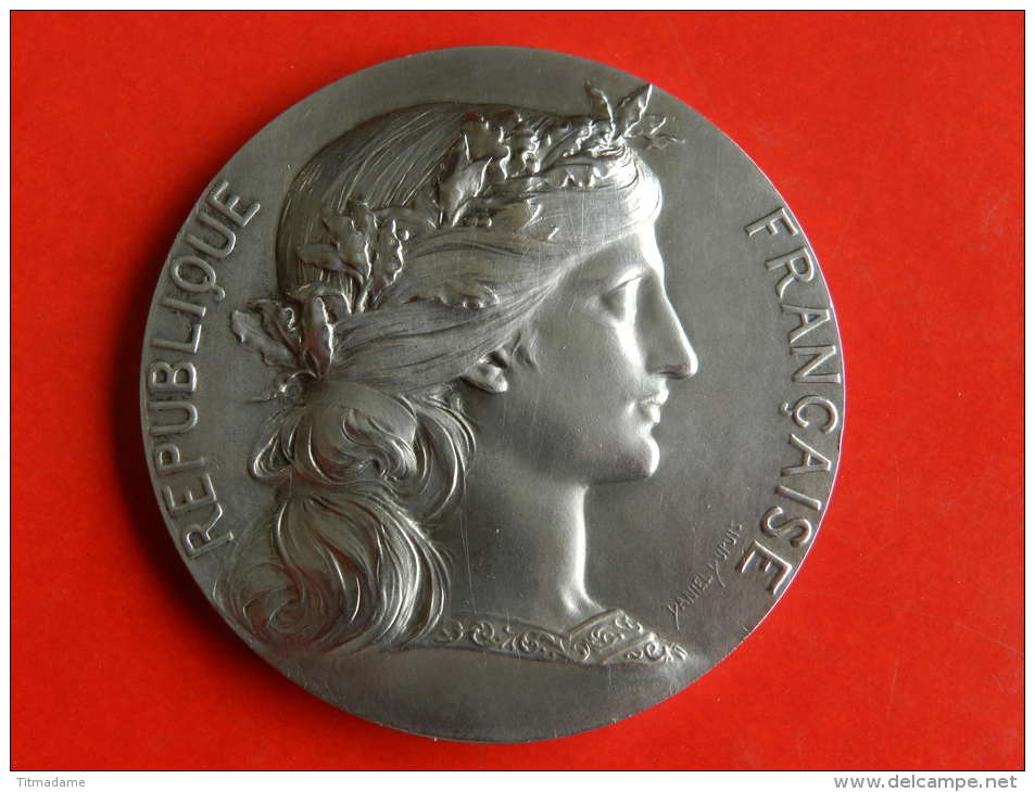 Médaille En Argent 1931 Société Aviculture - Seine - 62,64 Grs - 50 Mm - Daniel DUPUIS - Professionali / Di Società
