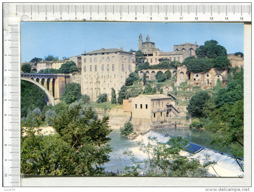 RABASTENS  -  Le Pont Et La Chaussée  Sur Le Tarn - Rabastens