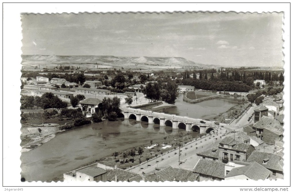 CPSM PALENCIA (Espagne-Castilla Y Leon) - Rio Carrion T Puentes - Palencia