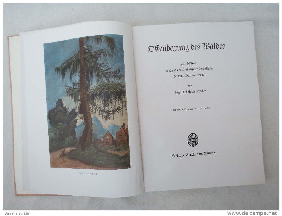 Josef Nikolaus Köstler "Offenbarung Des Waldes" Ein Beitrag Zur Frage D. Künstlerischen Gestaltung Dt. Naturerlebens - Nature