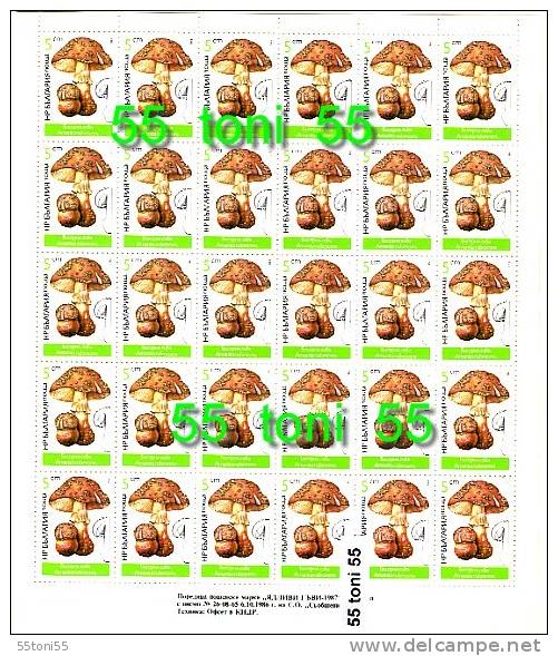 1987 FLORA  MUSHROOMS ( Champignons)  6 Sheet – 6x5 =30 Set  –MNH BULGARIA / Bulgarien - Pilze