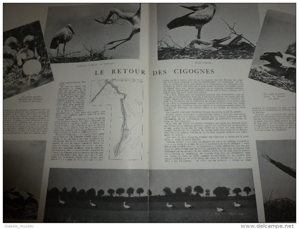 1943 COMPIEGNE; LVF (Légion des Volontaires Français); Sous-Marins série;Pompiers féminins en Allemagne;Retour CIGOGNES