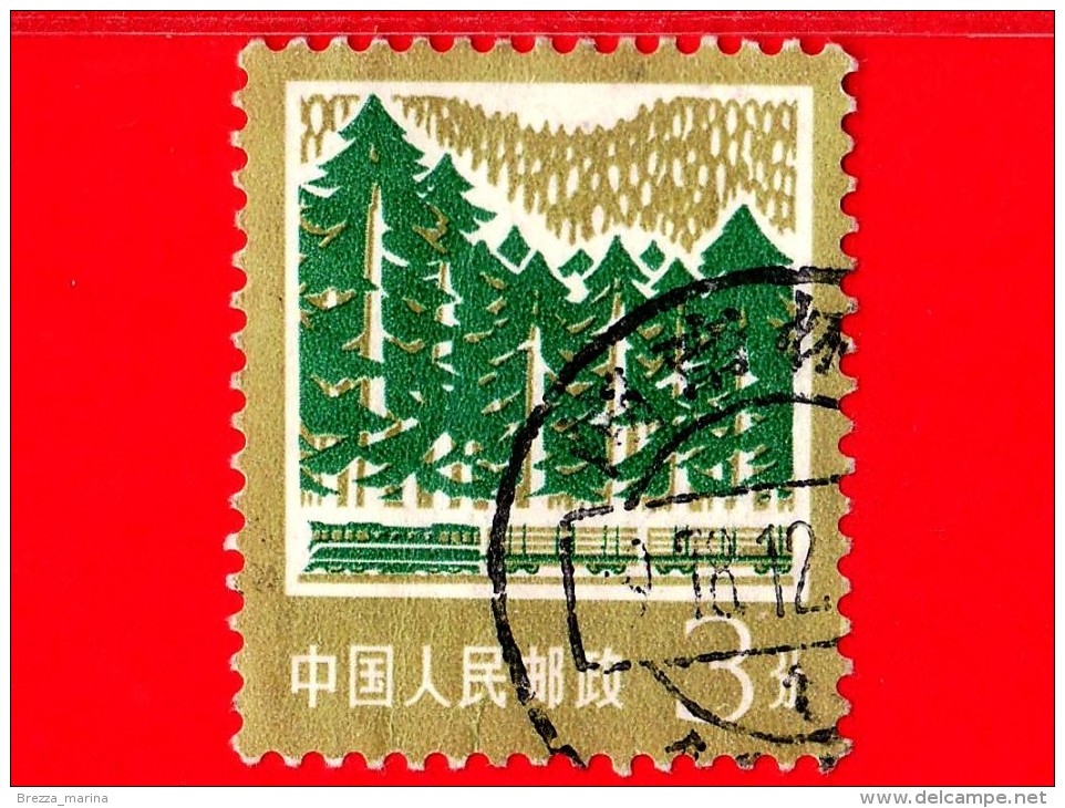 CINA - USATO - 1977 - Foresta - Forestry - 8 - Usati