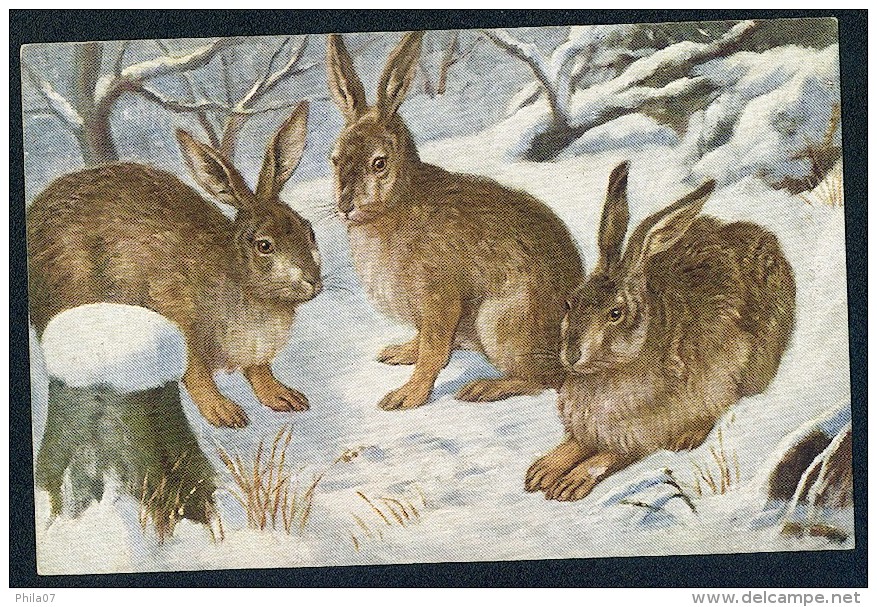 Rabbits, Winter - O.G.Z.-L. 277/1535  ----- Postcard Not Traveled - Autres & Non Classés