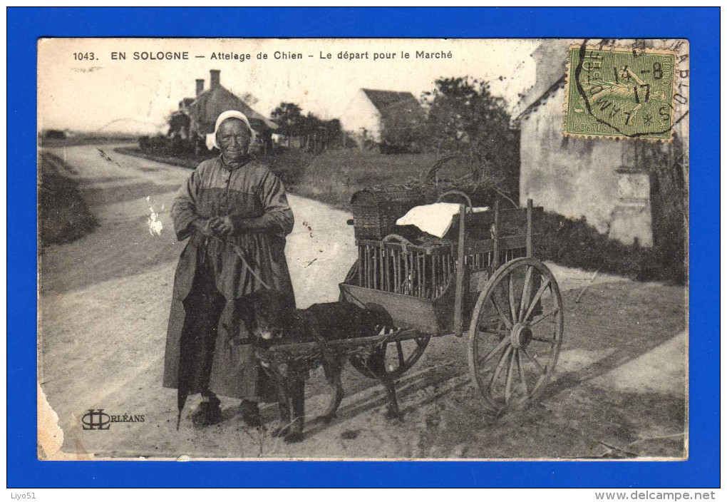 ATTELAGE DE CHIEN    EN SOLOGNE    LOIRET Le Départ Pour Le Marché  Cpa : Frotté Sur Cliché . Dos Abimé , Papier Collé - Autres & Non Classés