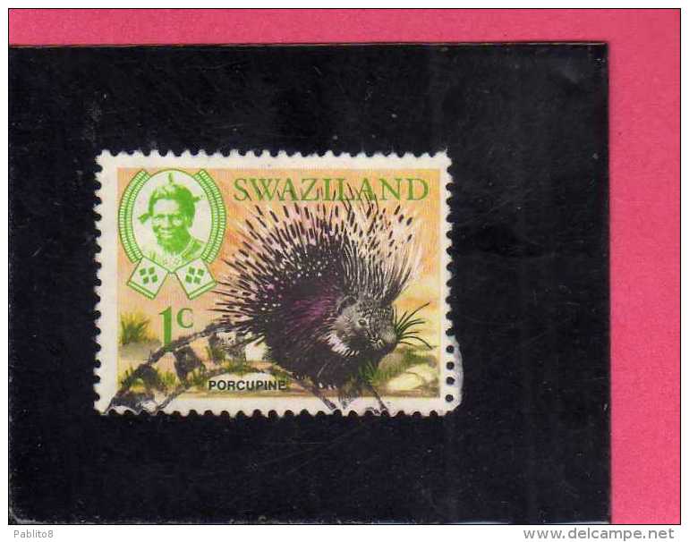 SWAZILAND 1969 FAUNA ANIMALS PORCUPINE WILDLIFE WILD ANIMAL 1c ANIMALI PORCOSPINO CENT. 1  ANIMALE SELVATICO USED - Swaziland (1968-...)