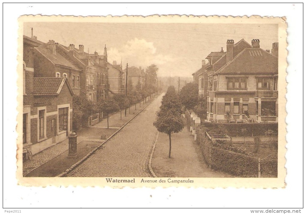 CPA : Belgique : Watermael - Avenue Des Campanules  : Perspective Sur L´avenue Bordée De Maisons - Watermael-Boitsfort - Watermaal-Bosvoorde