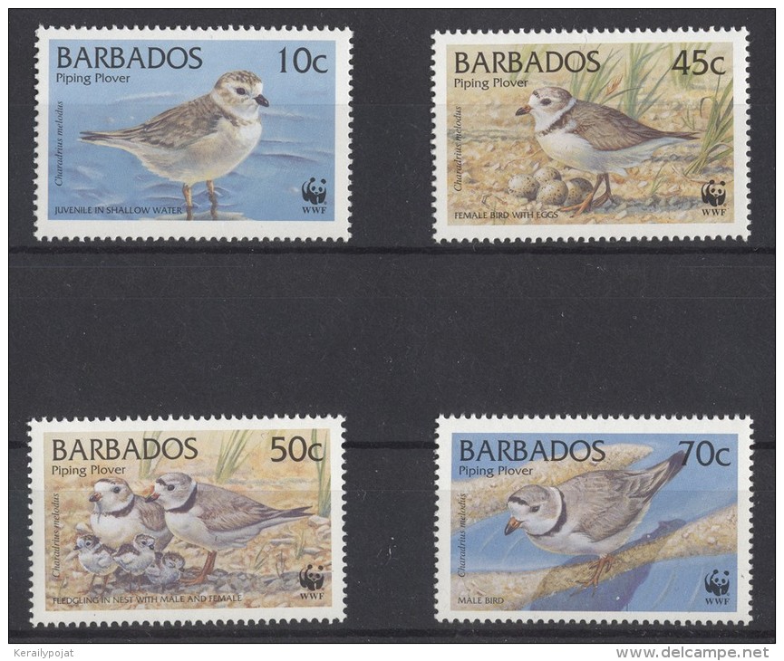 Barbados - 1999 WWF MNH__(TH-12377) - Barbados (1966-...)