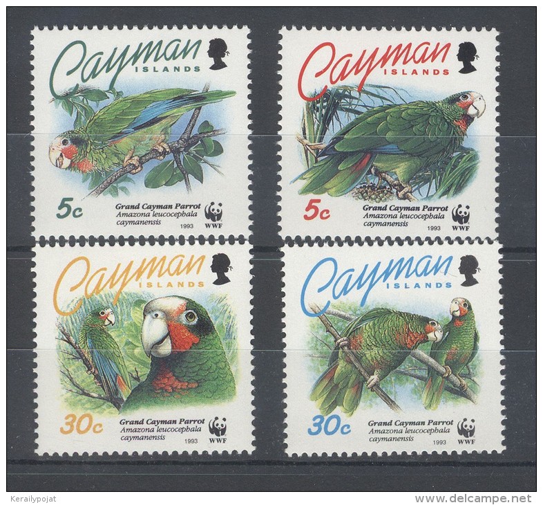 Cayman Islands - 1993 Cayman Bald Amazon MNH__(TH-9850) - Cayman Islands