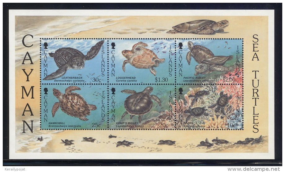 Cayman Islands - 1995 Sea Turtles Block MNH__(FIL-9971) - Cayman Islands