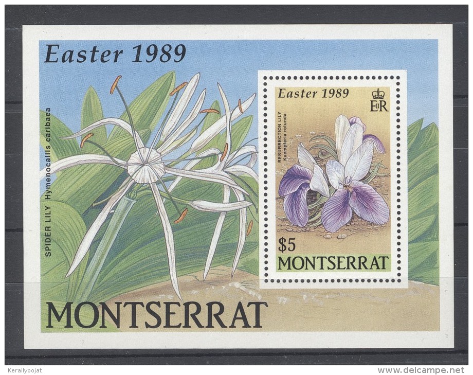 Montserrat - 1989 Easter Block MNH__(TH-11374) - Montserrat