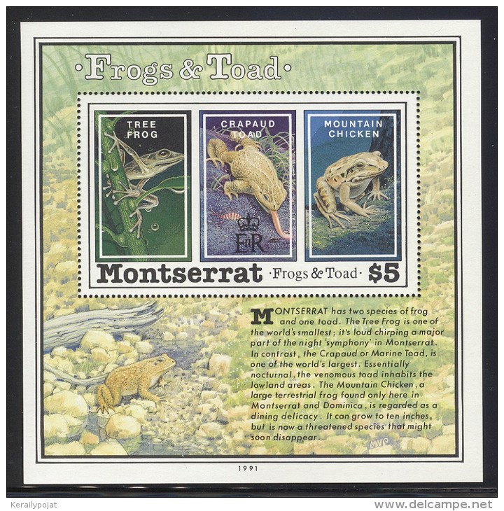 Montserrat - 1991 Frogs And Toads Block MNH__(FIL-9977) - Montserrat