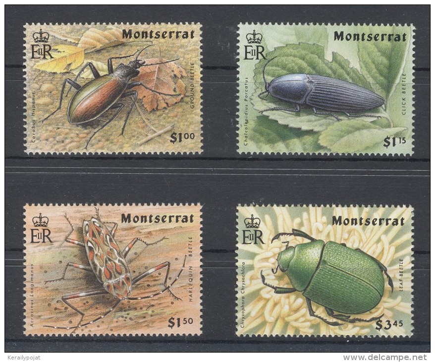 Montserrat - 1994 Insects MNH__(TH-2712) - Montserrat