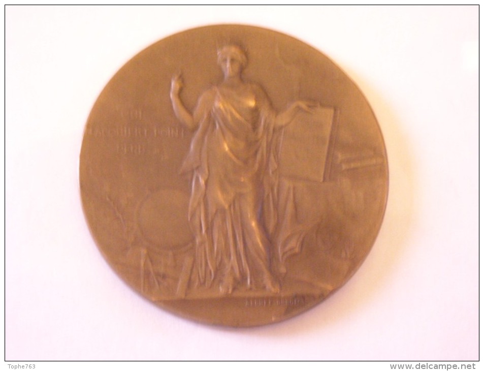 Médaille Bronze  Par Alphée Dubois , 1902 , Ministère De L´Instruction Publique - Autres & Non Classés