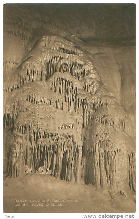 CHEDDAR - Gough's Caves - 90 Feet Cascade In St Paul's Chamber - Cheddar